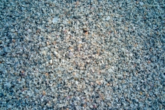 Beach-Shells