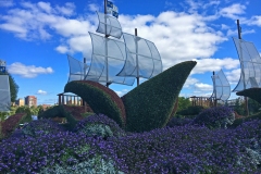 Plant-Sculpture-Ship
