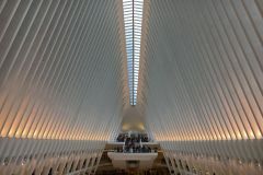 WTC-Gallery-Roof
