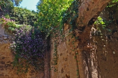 Aragon-Castle-Arch-Growth