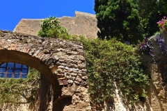 Aragon-Castle-Growth