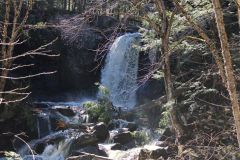 Spring-Waterfall