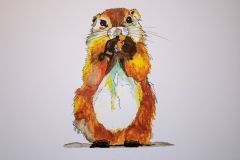 Groundhog-Watercolour-2