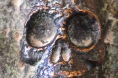 Bronze-Skull-Familia-Sagrada