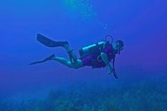 SCUBA Divers in the Maldives