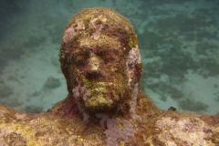 Grenada-Dive-Park-Jesus-Face