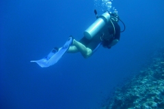 SCUBA-Diver-Maldives