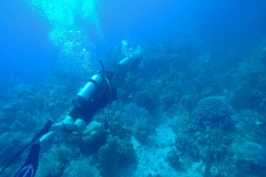 SCUBA Divers in the Maldives
